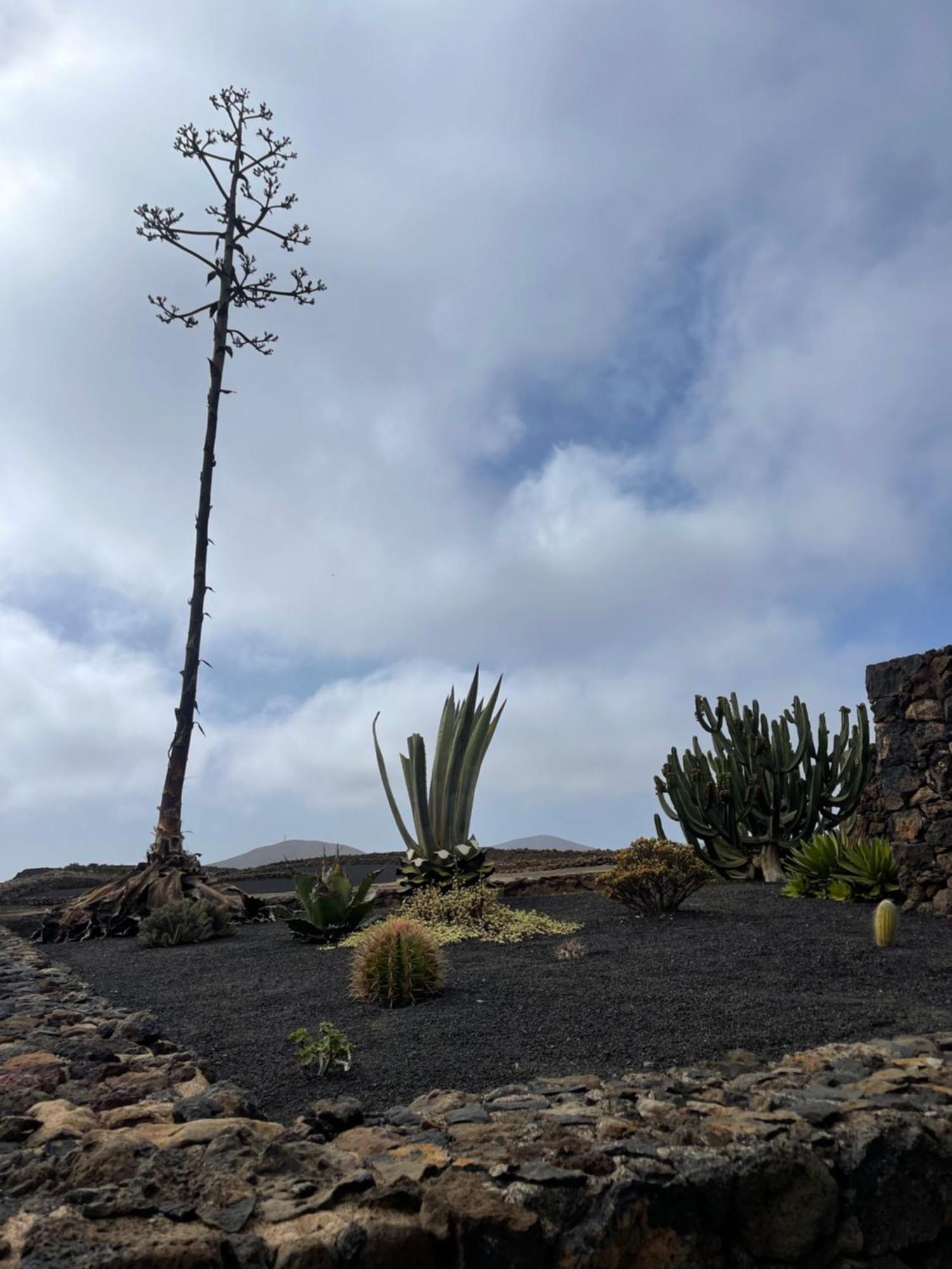 Villa Timanfaya Тинахо Экстерьер фото
