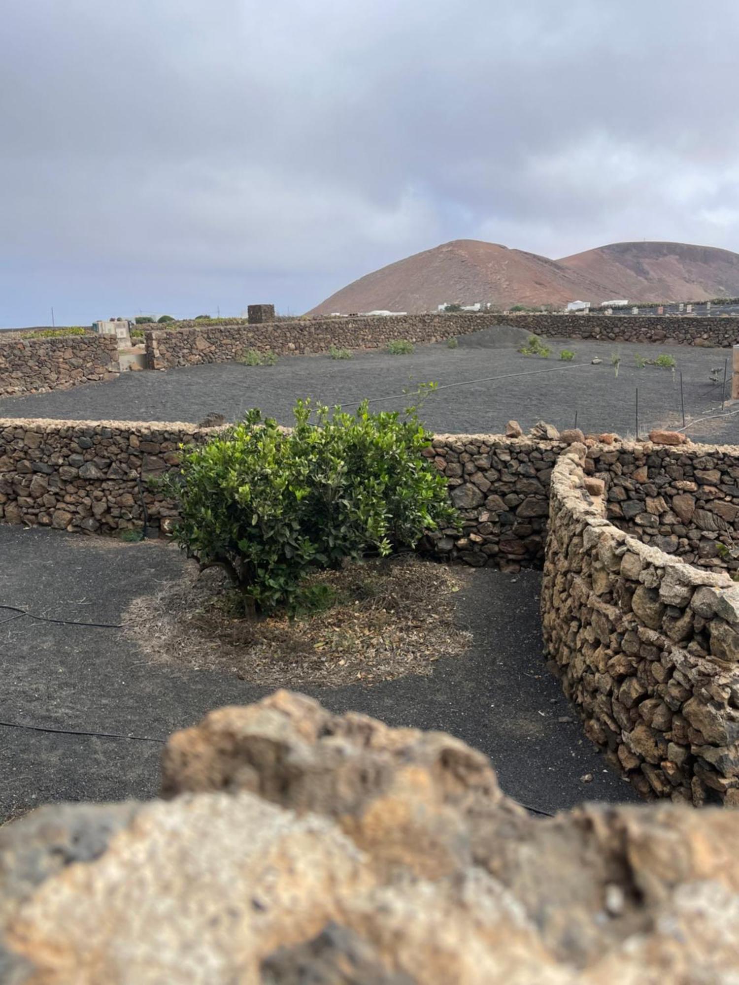 Villa Timanfaya Тинахо Экстерьер фото