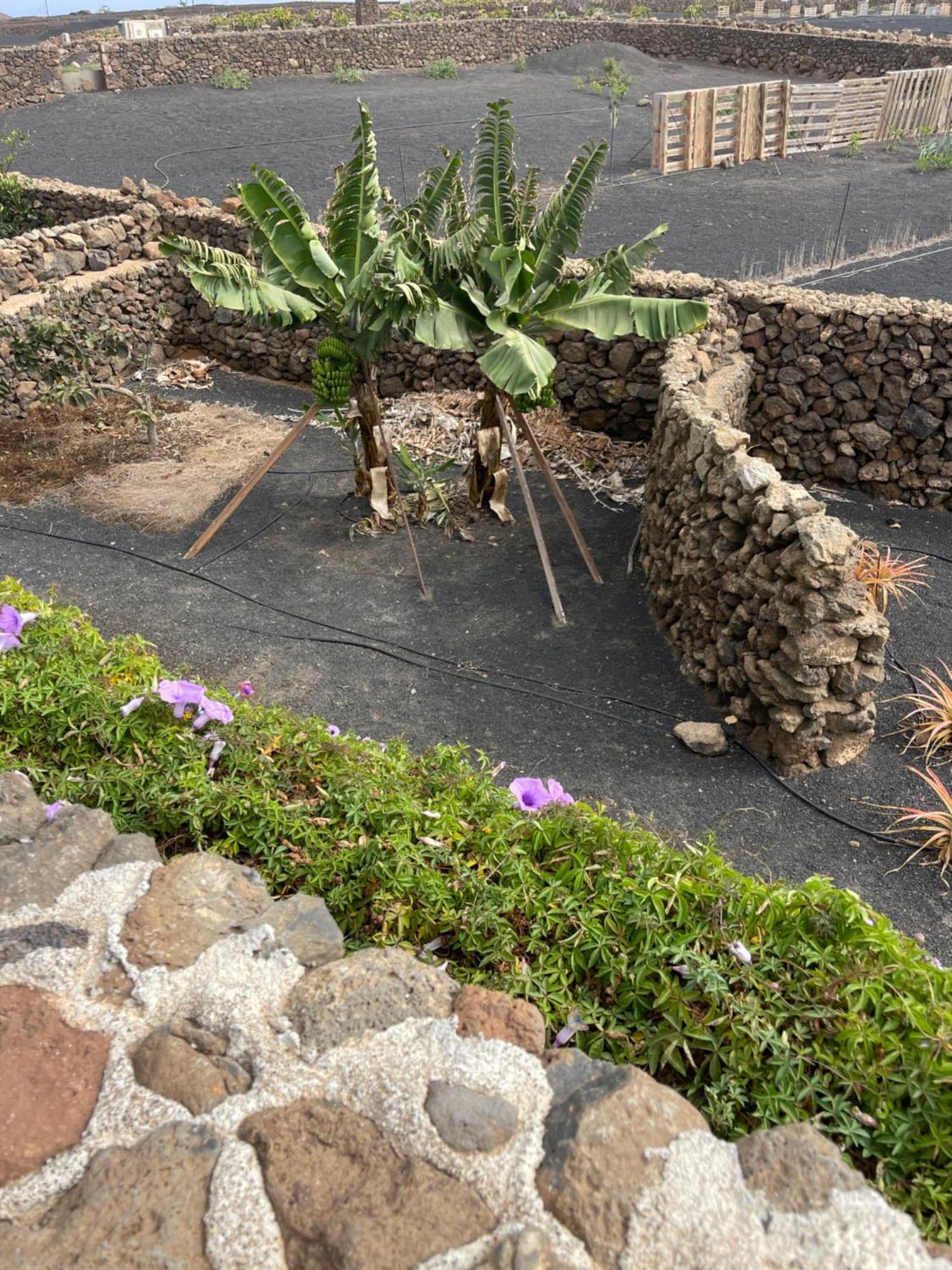 Villa Timanfaya Тинахо Экстерьер фото