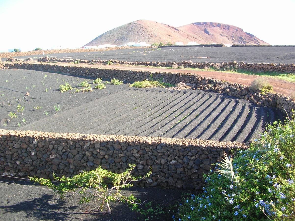 Villa Timanfaya Тинахо Экстерьер фото